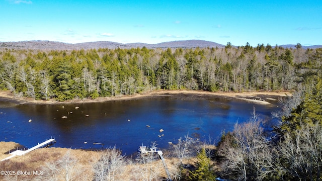 758 S Shore Rd E, Caroga Lake, Caroga, NY 12032 - view of water feature featuring a forest view and a mountain view