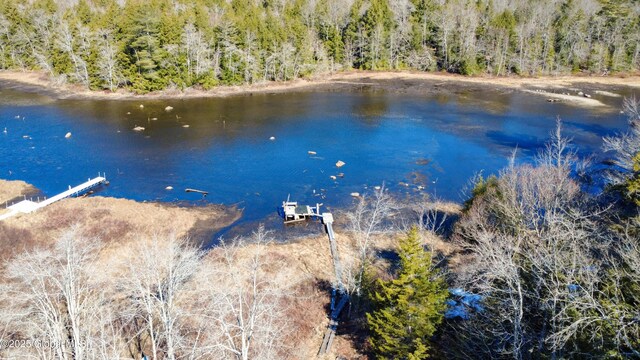 758 S Shore Rd E, Caroga Lake, Caroga, NY 12032 - birds eye view of property with a wooded view and a water view