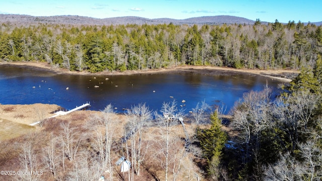 758 S Shore Rd E, Caroga Lake, Caroga, NY 12032 - property view of water with a forest view and a mountain view