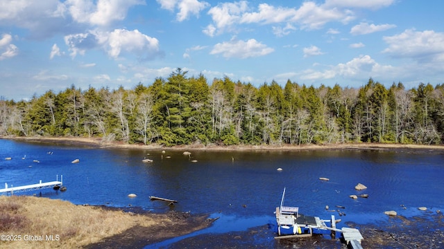 758 S Shore Rd E, Caroga Lake, Caroga, NY 12032 - view of water feature with a boat dock and a forest view