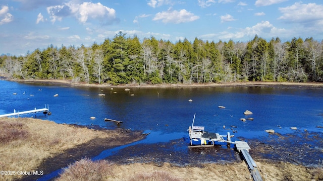 758 S Shore Rd E, Caroga Lake, Caroga, NY 12032 - dock area with a view of trees, a water view, and boat lift