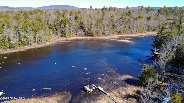 758 S Shore Rd E, Caroga Lake, Caroga, NY 12032 - property view of water featuring a forest view and a mountain view