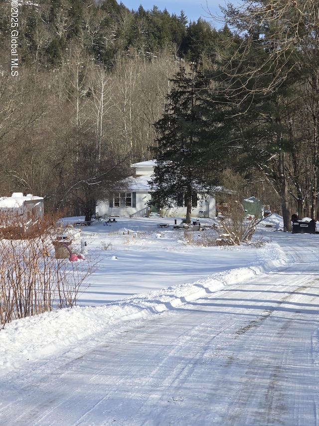 view of snowy yard