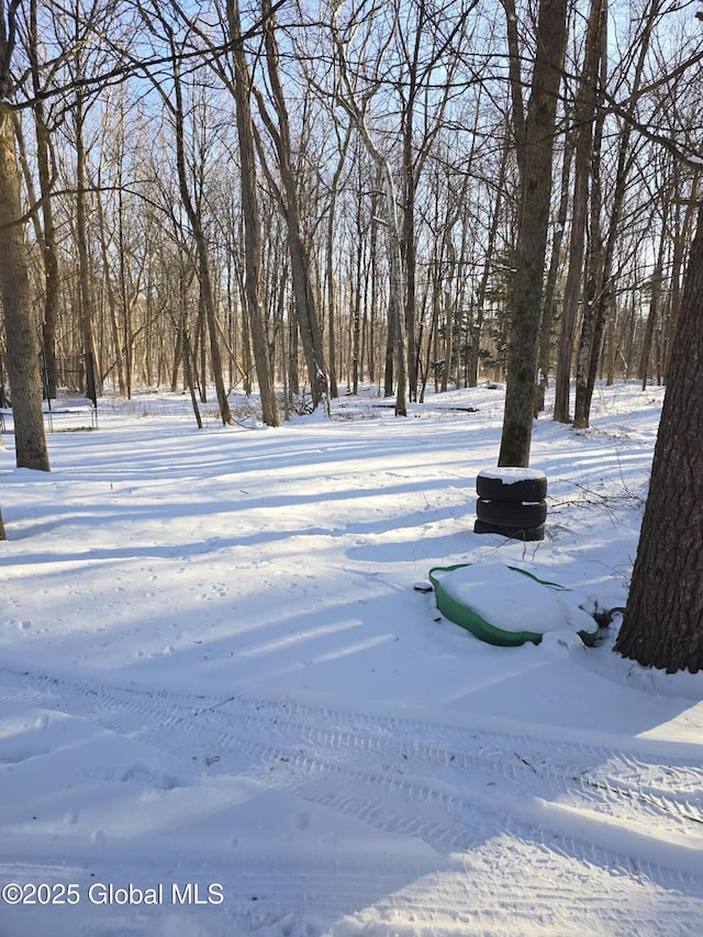 view of yard covered in snow