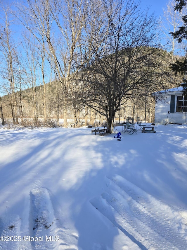 view of snowy yard