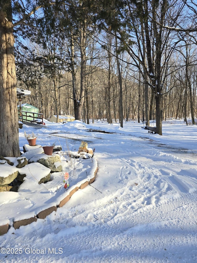 view of snowy yard