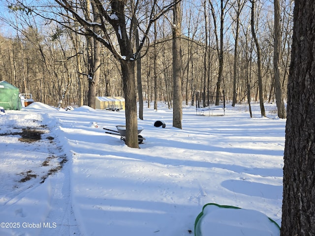 view of yard covered in snow