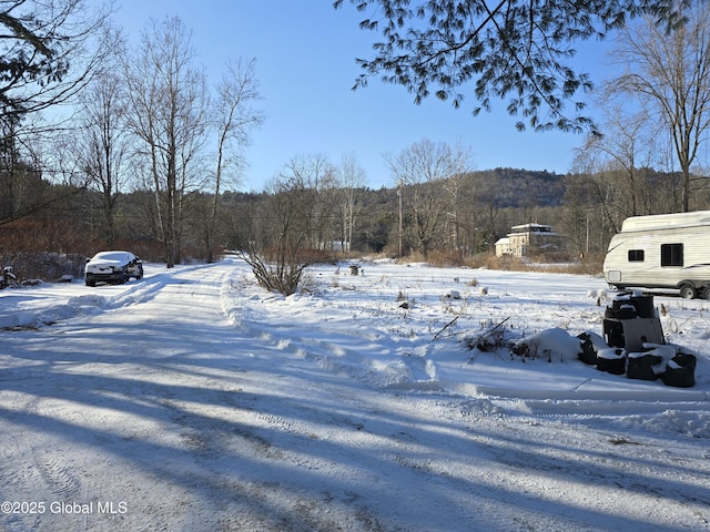 view of snowy yard