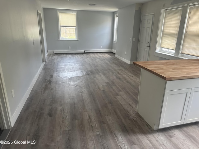 interior space featuring a baseboard heating unit and dark hardwood / wood-style floors