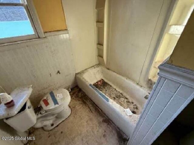 bathroom with toilet and a bathing tub