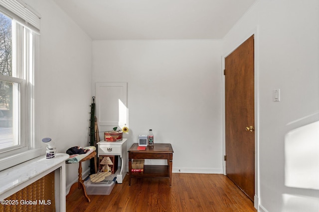 interior space with wood-type flooring and a wealth of natural light