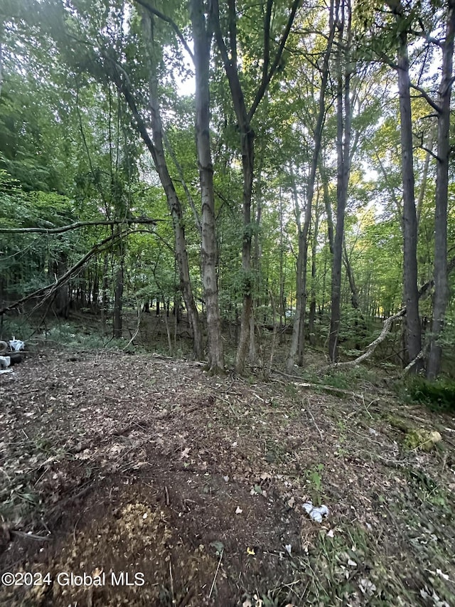 view of local wilderness