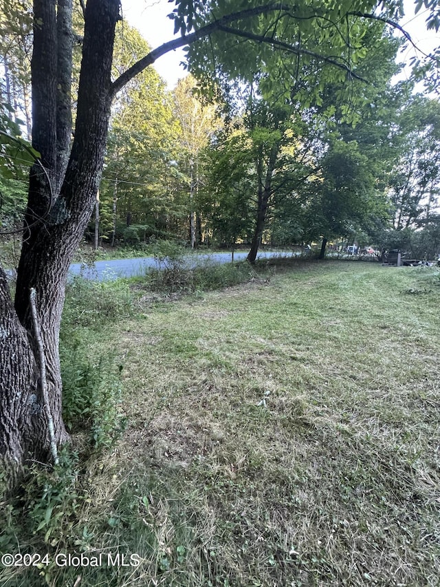 view of yard with a water view