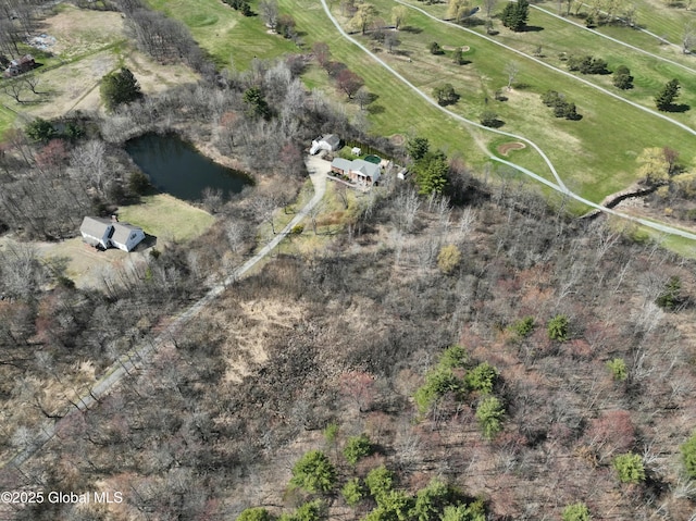 987 Grooms Rd, Rexford, NY 12148 - drone / aerial view