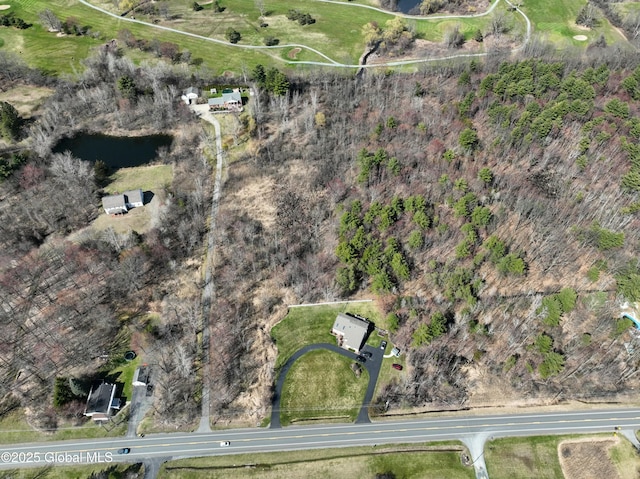 987 Grooms Rd, Rexford, NY 12148 - drone / aerial view