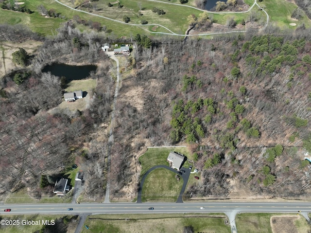 987 Grooms Rd, Rexford, NY 12148 - drone / aerial view