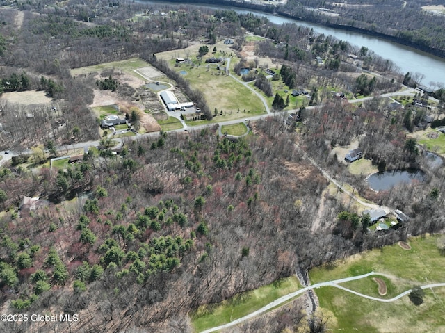987 Grooms Rd, Rexford, NY 12148 - bird's eye view featuring a water view