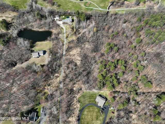987 Grooms Rd, Rexford, NY 12148 - bird's eye view