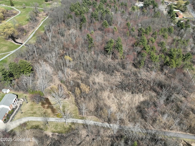 987 Grooms Rd, Rexford, NY 12148 - aerial view