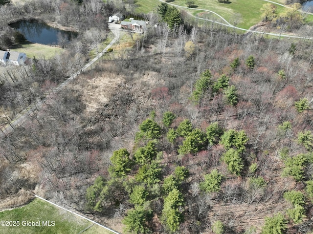 987 Grooms Rd, Rexford, NY 12148 - birds eye view of property featuring a water view