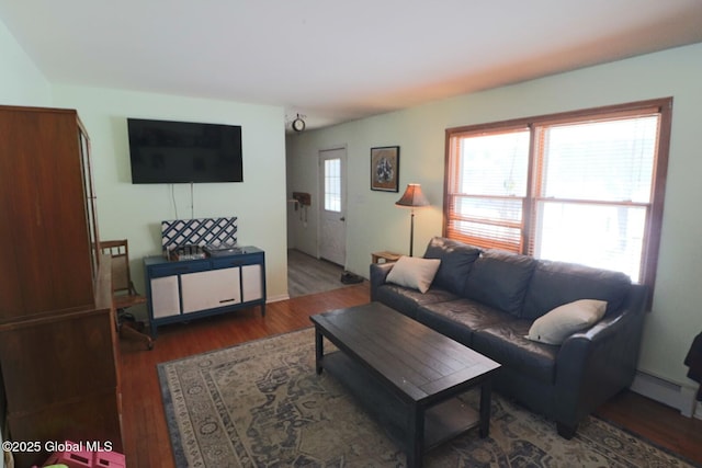 living room featuring dark wood-type flooring