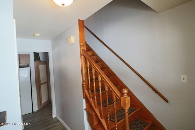 staircase with wood-type flooring