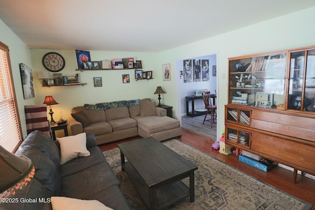 living room with hardwood / wood-style flooring