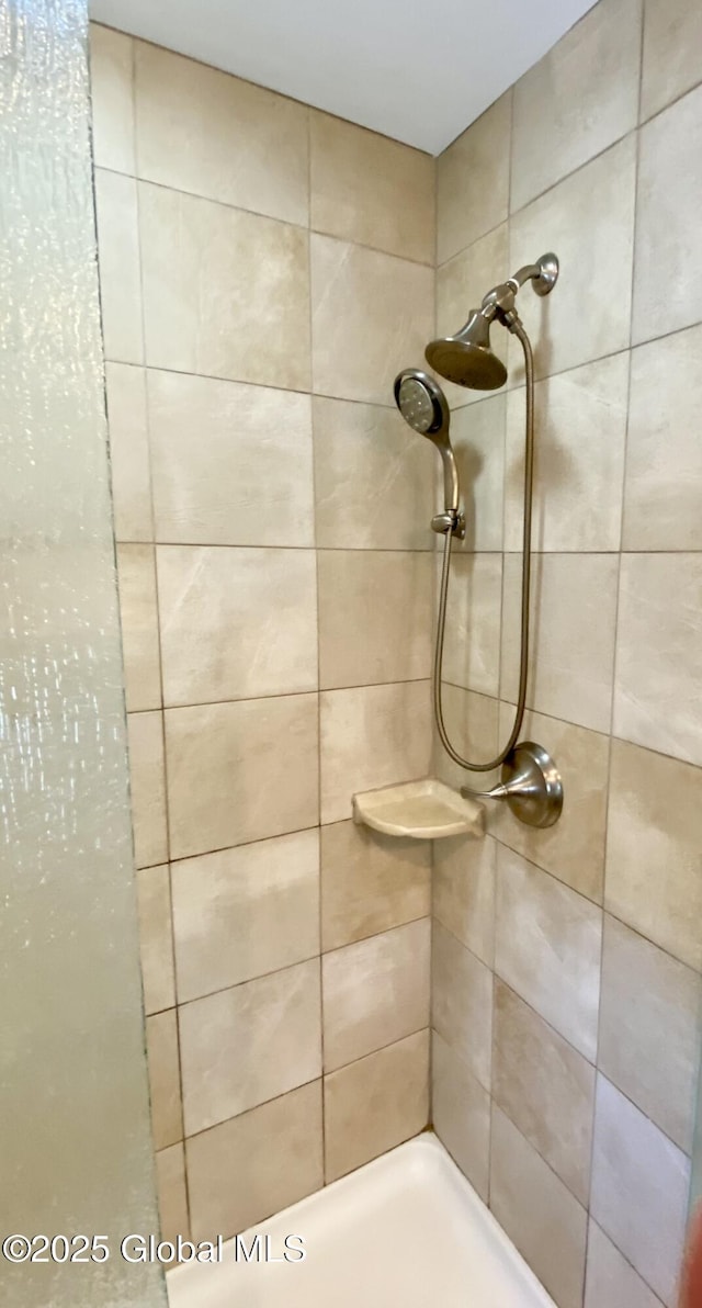 bathroom featuring walk in shower