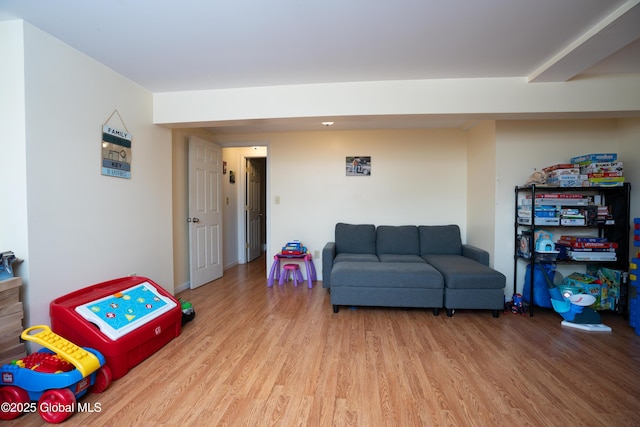 living room featuring light hardwood / wood-style flooring