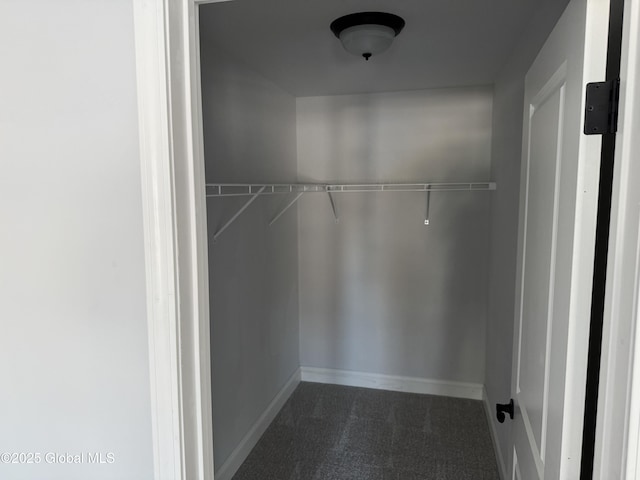 spacious closet with dark colored carpet