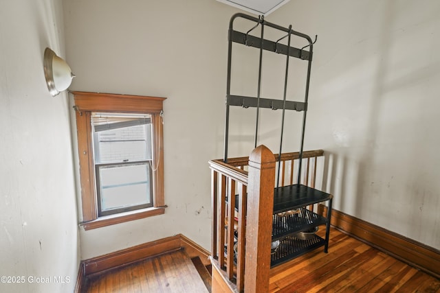 staircase with hardwood / wood-style floors