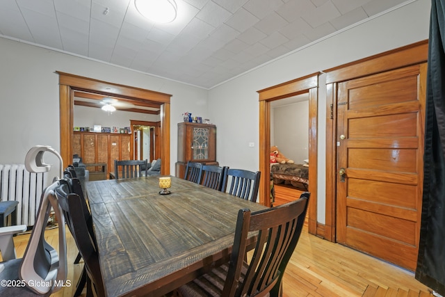 dining room with ornamental molding, radiator, and light hardwood / wood-style flooring