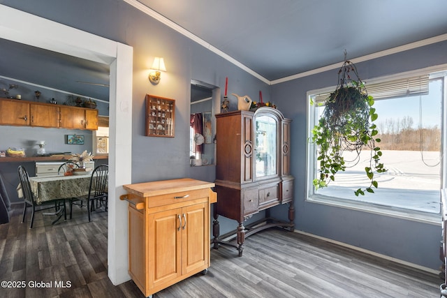 interior space with ornamental molding, dark hardwood / wood-style flooring, and vaulted ceiling