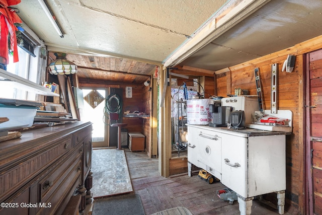 kitchen featuring a healthy amount of sunlight and wooden walls