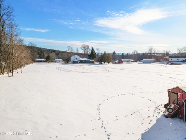 view of yard covered in snow