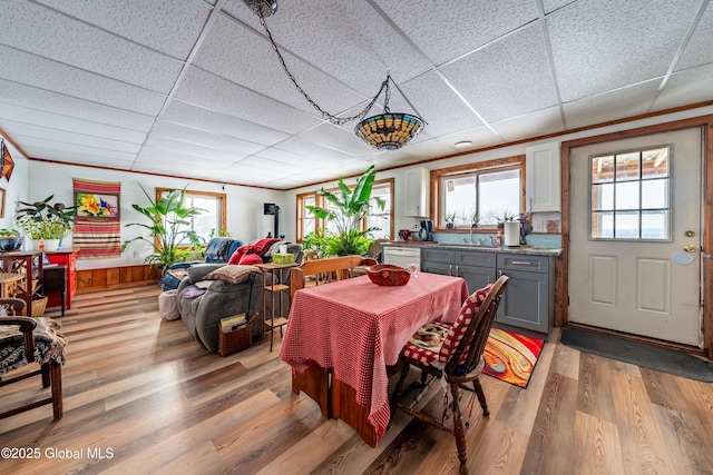 dining room with light hardwood / wood-style floors, plenty of natural light, and a drop ceiling