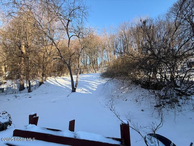 view of yard covered in snow