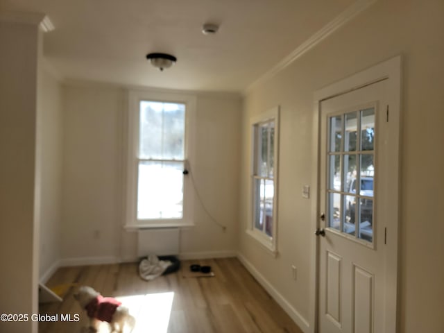 entryway with crown molding and light hardwood / wood-style flooring