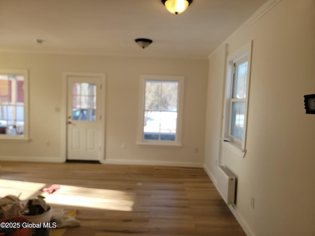 foyer with hardwood / wood-style floors and crown molding