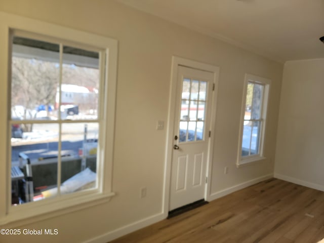 entryway with wood-type flooring