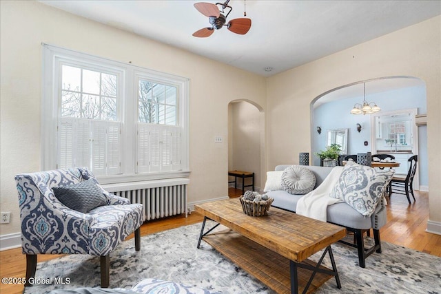 living room with radiator, ceiling fan with notable chandelier, and light wood-type flooring