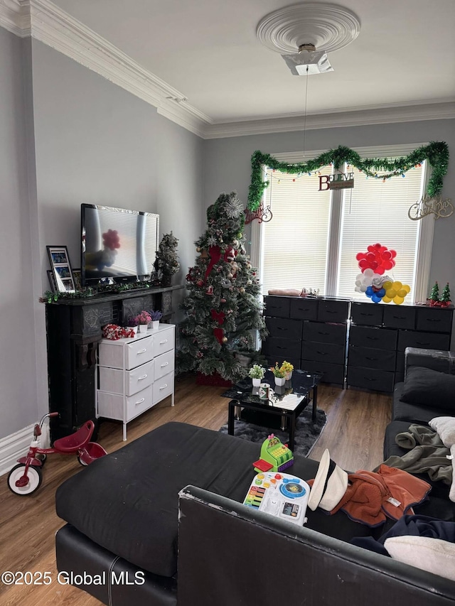 living room with wood-type flooring and crown molding