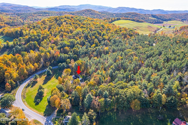 drone / aerial view with a mountain view