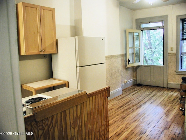 kitchen with ceiling fan, white fridge, tile counters, and light wood-type flooring