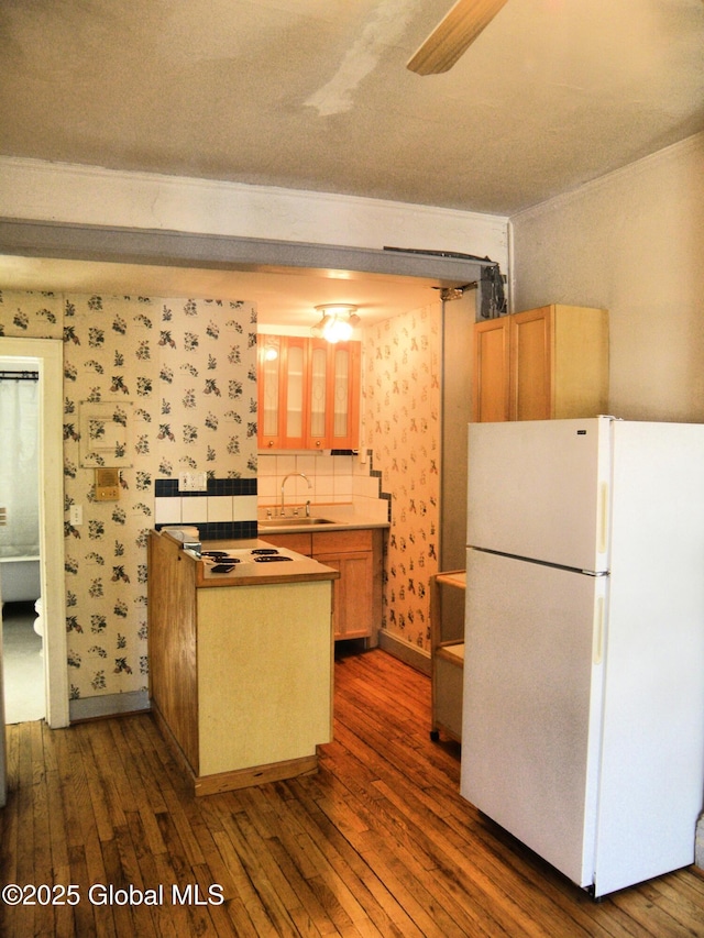 kitchen with tasteful backsplash, sink, white fridge, ceiling fan, and dark wood-type flooring