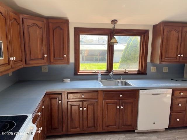 kitchen featuring white dishwasher, brown cabinets, and a sink