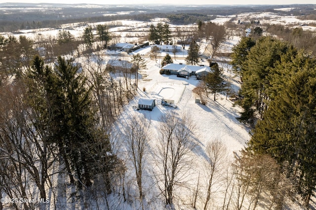 view of snowy aerial view