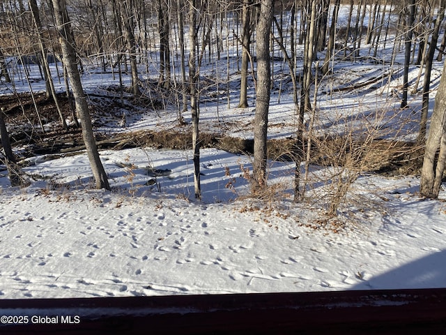 view of yard covered in snow