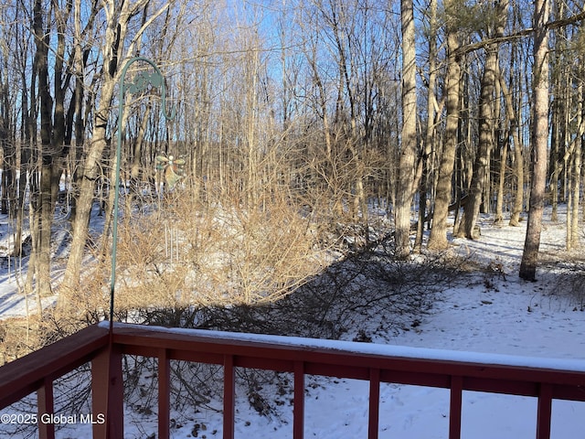 view of snowy yard