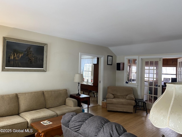 living room with a healthy amount of sunlight, vaulted ceiling, and wood-type flooring